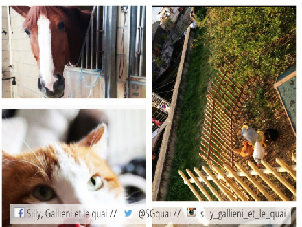 Cheval, chat, poule... Le salon d'agriculture du quartier @Silly, Gallieni et le quai