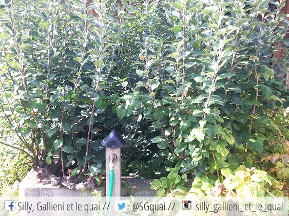 Le point d'eau du jardin familial @Silly, Gallieni et le quai